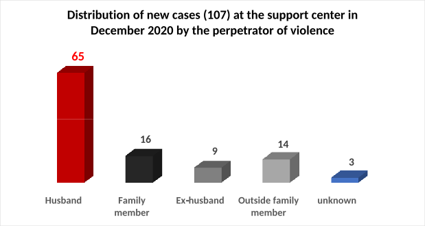 Distribution of new cases (107) at the support center in December 2020 by the perpetrator of violence