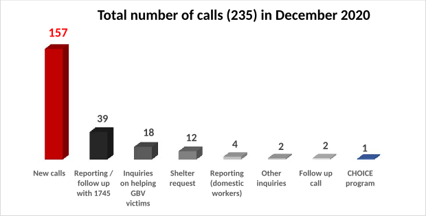 Total number of calls (235) in December 2020