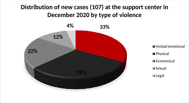 Distribution of new cases (107) at the support center in December 2020 by type of violence